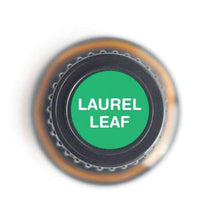 Load image into Gallery viewer, Laurel Leaf Pure Essential Oil - 15ml
