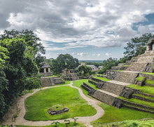 Load image into Gallery viewer, Mayan Water Decaf
