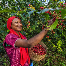 Load image into Gallery viewer, Ethiopian Sidamo
