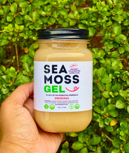 Load image into Gallery viewer, Original Sea Moss Gel - Dr. Sebi Inspired 100% Raw Organic - Wild Harvested Sea Moss
