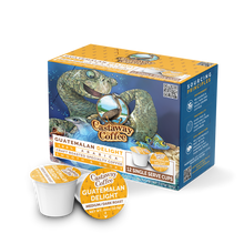 Load image into Gallery viewer, Castaway Coffee Sample K-Cup Pod assorted 20 Count
