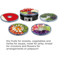 Load image into Gallery viewer, Salton Electric Food Dehydrator with Adjustable Temperature Control
