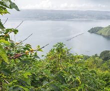 Load image into Gallery viewer, Sumatra Mandheling

