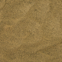 Load image into Gallery viewer, Sea Asparagus (Salt Substitute)
