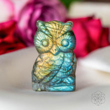 Load image into Gallery viewer, Token of Wisdom - Labradorite Owl Talisman

