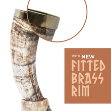 Load image into Gallery viewer, Curved Drinking Horn Bundle with Stand &amp; Holster
